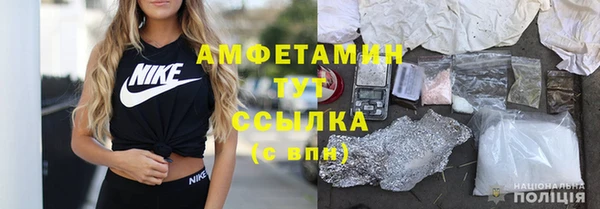 стаф Алексин