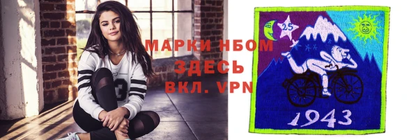стаф Алексин