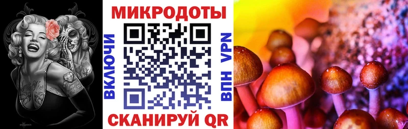 Псилоцибиновые грибы мицелий  Долинск 